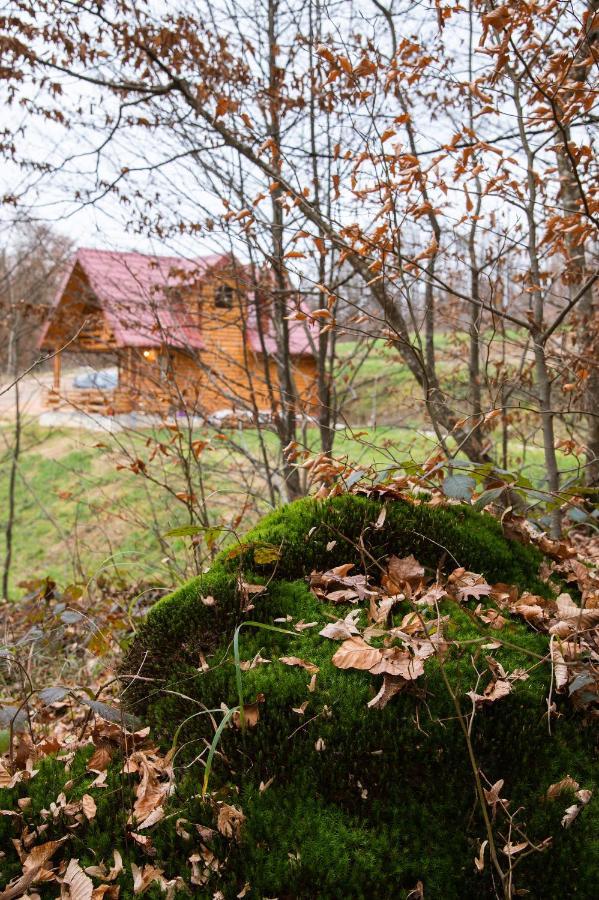 Brvnaria Villa Slatina Varoš Екстериор снимка